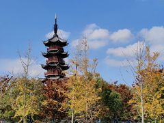 -龙华寺