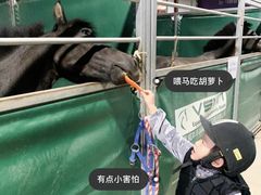 -李振强马术运动推广中心(南城店)