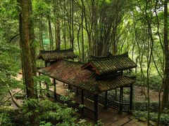 -峨眉山报国寺