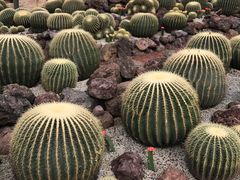 -南通洲际绿博园