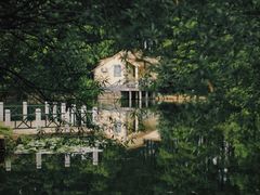 -上海共青森林公园