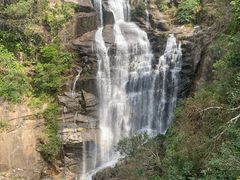 -海南热带雨林国家公园吊罗山景区