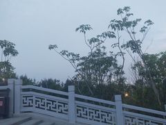 -宝安西湾红树林湿地公园