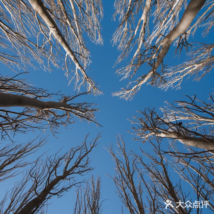 每次回家过年团聚，只要有他就是各种拍拍拍