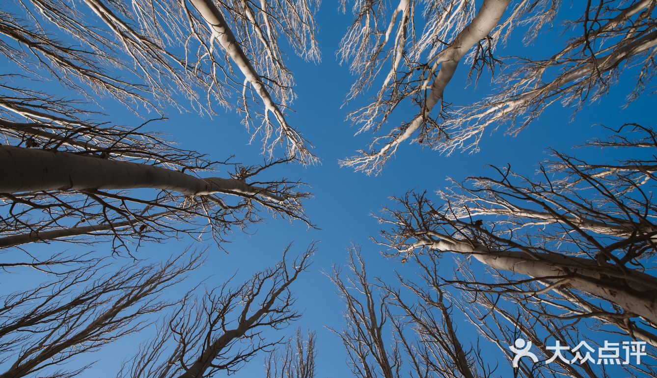 每次回家过年团聚，只要有他就是各种拍拍拍