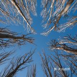 每次回家过年团聚，只要有他就是各种拍拍拍