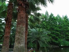 -苏州河梦清园环保主题公园