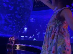 -江和美海洋公园