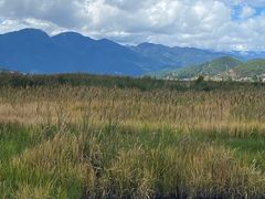 -泸沽湖国家级风景名胜区走婚桥