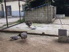-竹泉村旅游度假区