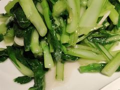 清炒菜心-红京鱼(西坝河店)