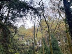 -綦江古剑山