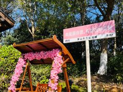 -茅山东方盐湖城景区