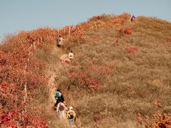 -北京西山国家森林公园