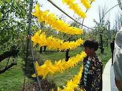 -祥源·阜阳生态乐园