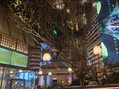 -桂满陇·海市蜃楼·黑金(国金店)