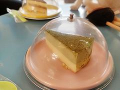 提拉米苏-猫在这儿猫咪咖啡馆·撸猫馆
