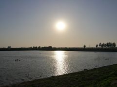 -蒲河岛湿地公园