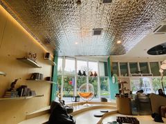 大堂-飞行喵MR PILOT|猫舍·猫咖(静安大融城店)