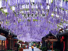 -婺源梦里老家大型山水实景演出