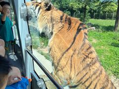 -西安秦岭野生动物园