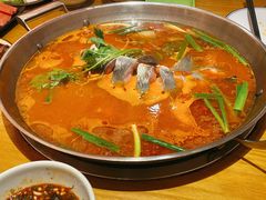 -新凯里酸汤鱼(飞山街店)