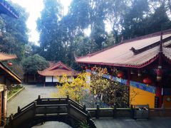 -都江堰普照寺