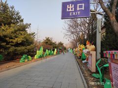 -南宫五洲植物乐园