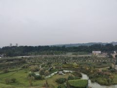 -都江堰玫瑰花溪谷