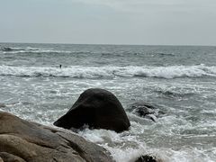 -广东惠东海龟国家级自然保护区