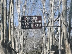 -灵谷景区