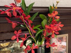 -南麓·浙里(外滩店)