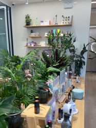 -dōTERRA多特瑞精油生活馆