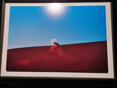 -罗红摄影艺术馆