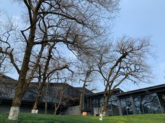 -中国美术学院象山校区-民艺博物馆