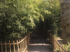 -紫竹院公园冰场