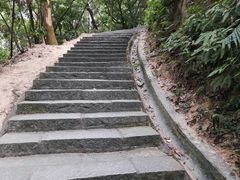 -火炉山森林公园