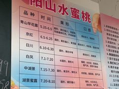 -老袁家蜜桃农场·阳山水蜜桃