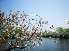 -无锡蠡湖国家湿地公园-蠡园