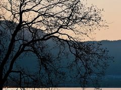 -东钱湖旅游度假区