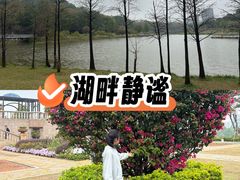 -东莞植物园