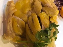 白切鸡饭-廉江鹅饭店