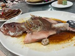 东星斑-聚福宝合苑食府(南头镇店)