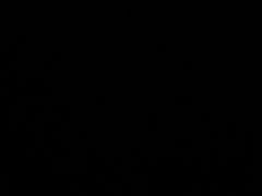 -好利来(五一广场店)