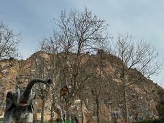 -西霞口神雕山野生动物世界