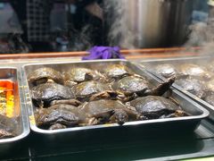 -周浦小上海步行街