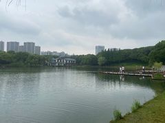 -新洲生态园