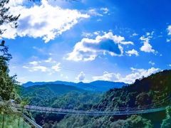 -九龙江国家森林公园