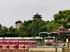 -莲花池公园