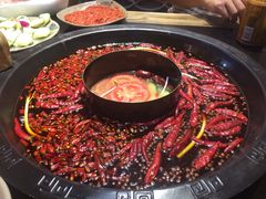 -渝大狮毛肚老火锅(普陀店)